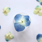 48 Pcs Dried Pressed Flowers for Resin DIY Art Crafts Natural Dry Hydrangea - Image 6