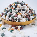 TOYPOPOR 6LB Succulent and Cactus Gravel Pebbles, 1/5 Inch Natural Decorative by TOYPOPOR