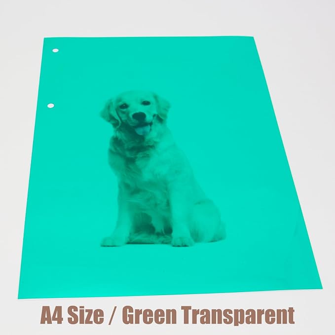 10-Pack A4 Colored PVC Flexible Plastic Sheets, 0.3mm Dark Green Transparent - Image 5
