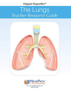 NewPath Learning Lungs 3-D Paper Model Making Kit, Set/5 Full-Color, Paper - Image 2