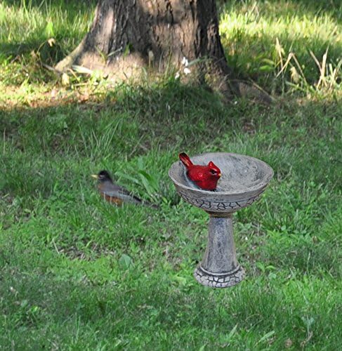 G & F Products MiniGardenn 10027 Fairy Garden Cardinal Birdbath Pick - Image 4