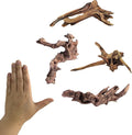YZHZOM Small Natural Driftwood for Aquarium Styling Carefully Selected Natural by YZHZOM