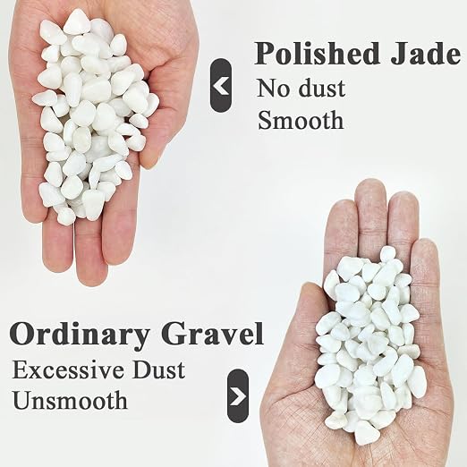 YISZM 5LB Succulent and Cactus Gravel Pebbles, 3/8 Inch Natural Decorative - Image 2