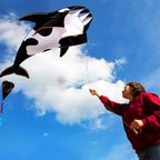 HENGDA KITE 3D Kite for Kids and Adults, Excellent Fabric and Structure - Image 4