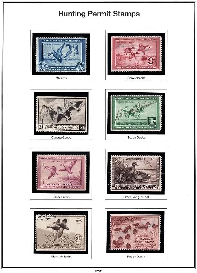 Strip Style Black Stamp Mounts Size 100 - Image 3