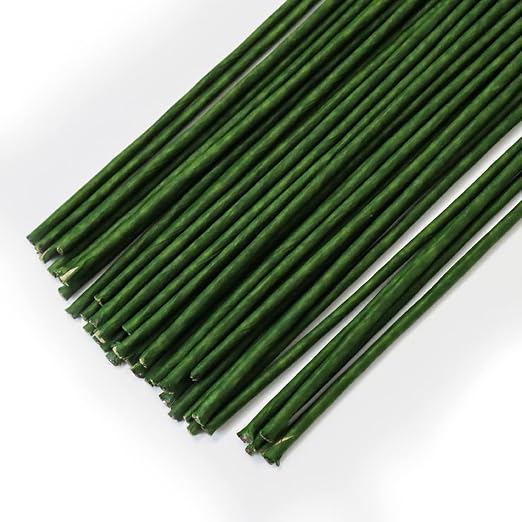 80Pcs Floral Wire, 30cm/11.8in Length 3mm/0.12in Diameter Floral Stems by Unknown