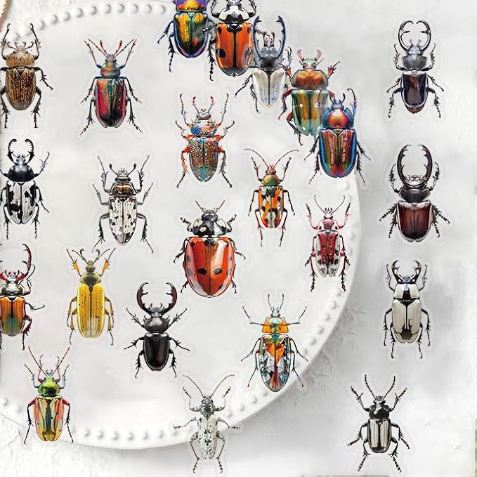 50 PCS Realistic Beetle Stickers - Image 5