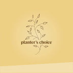 Planter's Choice Bonsai Tree Kit - Image 9
