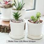 YISZM 2LB Succulent and Cactus Gravel Pebbles, 1/5 Inch Natural Decorative - Image 5
