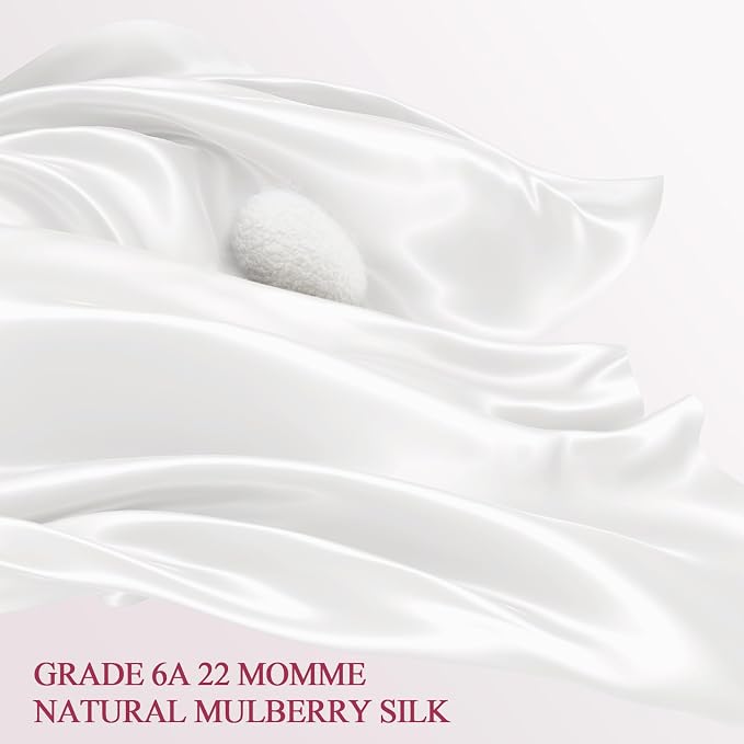 100% Silk Pillow Cases 2 Pack Queen Size Mulberry Silk Pillowcase Set of 2 - Image 2