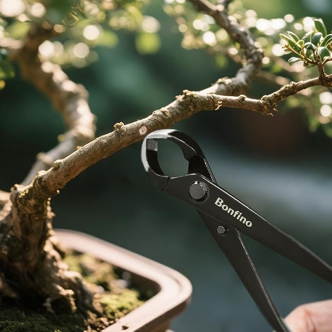 8.3" Bonsai Concave Cutter, Heavy Duty Professional Manganese Steel | Branch - Image 5