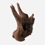 LYPHARD AQUARIUMS Natural Driftwood - Image 4