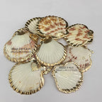 20pcs Natural Shell Pendants Charms Necklace Trendy Pendant - Image 6