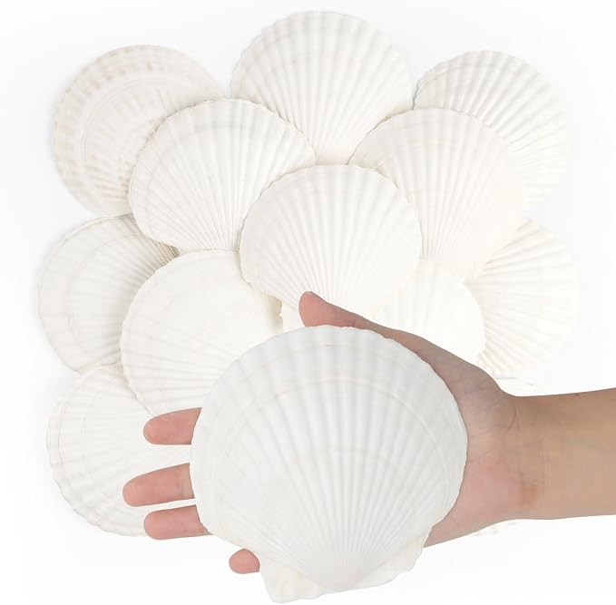 Jangostor 16 PCS Scallop Shells Natural Seashell, Fish Tank and Vase Filler by Jangostor