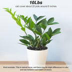 Pebbles for Indoor Plants, Virekm River Rocks, Decorative Ornamental Pebbles - Image 4