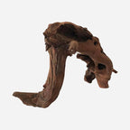 LYPHARD AQUARIUMS Natural Driftwood - Image 3