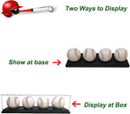 Baseball Display Case for 4 Pack in one, Baseball Holders for Balls Display - Image 6