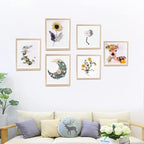 8x8 Shadow Box Frame Display Case - Image 6