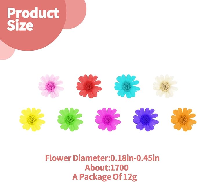 1700 PCS Mini Dried Flowers for Resin, Small Dried Flowers for Crafts, - Image 2
