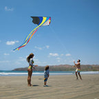 Mint's Colorful Life Delta Kite - Image 5