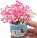 3000+ Mini Dried Baby's Breath Flowers, Wedding Wreath, Card Making, Home Decor - Image 7