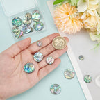 WADORN 4 Sizes Abalone Shell Cabochons - Image 4