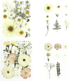 80Pcs Pressed Flowers, Nail Art, Scrapbooking, Candle Holder, Jewelry Making - Image 3