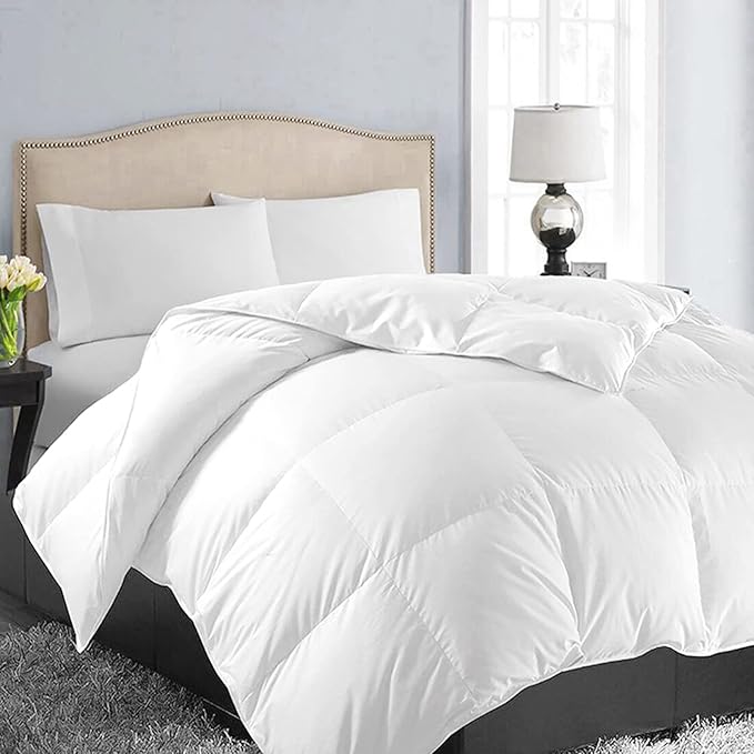 EASELAND Oversized Queen Down Alternative Comforter by EASELAND