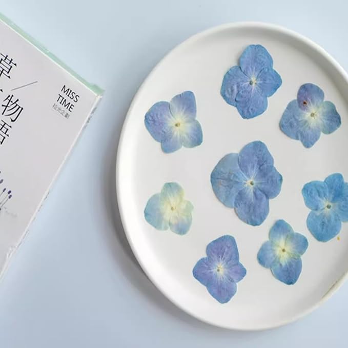 48 Pcs Dried Pressed Flowers for Resin DIY Art Crafts Natural Dry Hydrangea - Image 2