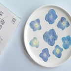 48 Pcs Dried Pressed Flowers for Resin DIY Art Crafts Natural Dry Hydrangea - Image 2