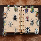 50 PCS Realistic Beetle Stickers - Image 4