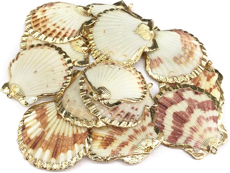 20pcs Natural Shell Pendants Charms Necklace Trendy Pendant by Zotoone