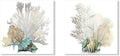 JAPO ART White Coral Wall Art Beach Bathroom Decor Sea Shell Pictures Coastal by JAPOART