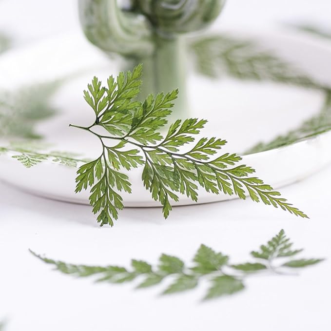 48 Pcs Dried Pressed Flowers Leaves Ferns - Image 5