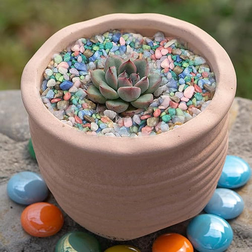 0.88 LB Colored Pea Gravel, Succulent Cactus Topper Dressing Pebbles, 3-5mm | - Image 2