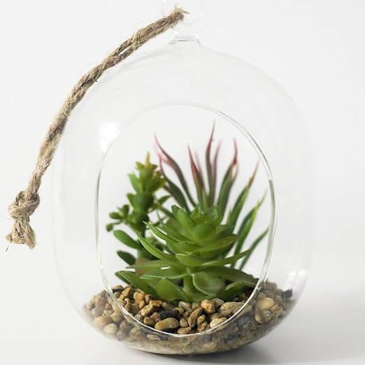 YISZM 2LB Succulent and Cactus Gravel Pebbles, 3/8 Inch Decorative Polished - Image 6