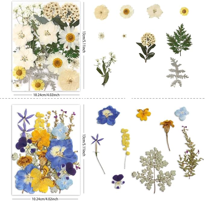 Dried Pressed Flowers - Image 3