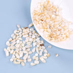 Crushed Shells for Crafts, Sea Shells for Kids DIY Art, Vase Fillers Table - Image 6