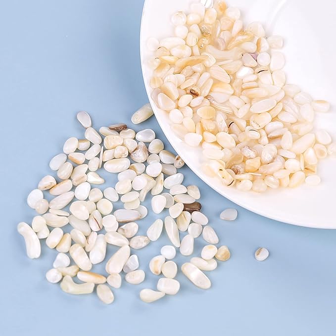 Crushed Shells for Crafts, Sea Shells for Kids DIY Art, Vase Fillers Table - Image 6