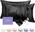 100% Silk Pillow Cases 2 Pack Queen Size Mulberry Silk Pillowcase Set of 2 by WLOSJ