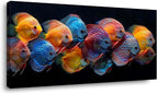 ZESTRILIA Colorful Discus Fish Canvas Wall Art, Vibrant Tropical Fish Print by Unknown