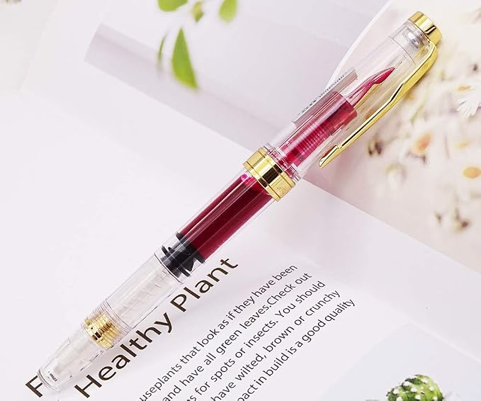 Lanxivi Yongsheng 3011 Demonstrator Clear Classical Fountain Pen Fine Nib Arrow - Image 4