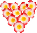 Pursuestar 100Pcs Red Foam Hawaiian Frangipani Artificial Plumeria Flower by Pursuestar