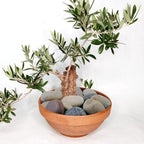 YISZM 40lbs Natural River Rocks, Hand-Picked Smooth Stones - Image 6