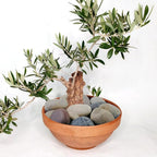 YISZM 20lbs Natural River Rocks, Hand-Picked Smooth Stones - Image 6