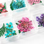 2 Boxes 3D Real Dried Flowers for Nail Art Colorful Mini Natural Gypsophila | - Image 7