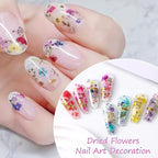 8 Boxs Dried Flowers for Nail Art, Colorful Mini Real Natural Flowers | Nail - Image 3