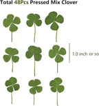 48 Pcs Mix Natural Dried Pressed 4 Leaf Clover - Image 2