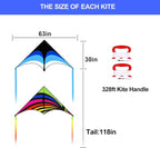 Large Single Line Beach Kite for Adults - Image 6