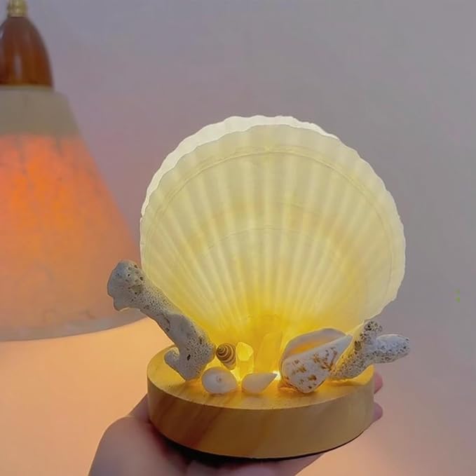 10PCS Large Natural Scallop Shells, Home Decorations, Beach Wedding Decorations - Image 5